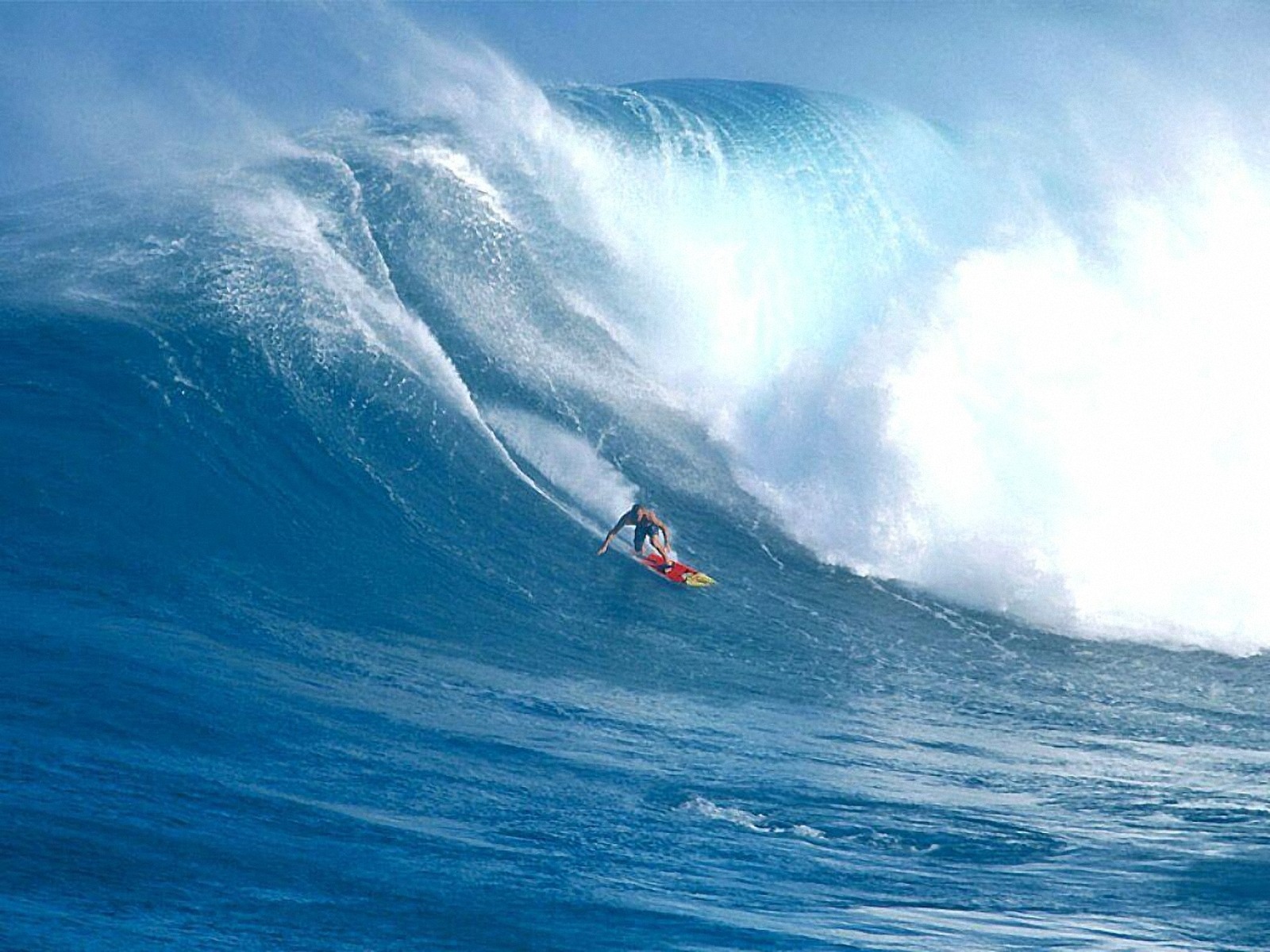 Wave surfer for mac